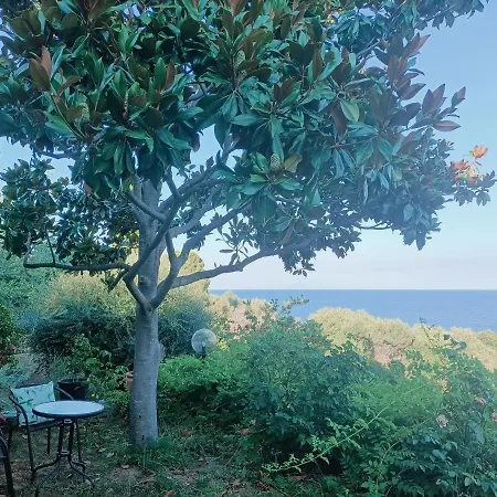 Vakantiehuis Magnolia *