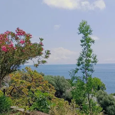 Magnolia * Santa-Maria-di-Lota