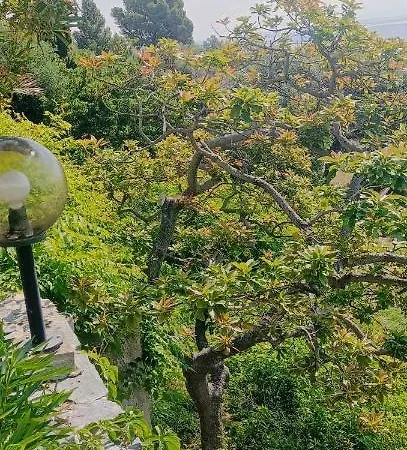 Magnolia Casa vacanze *